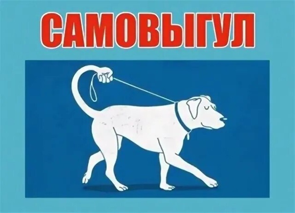 САМОВЫГУЛ ЖИВОТНЫХ ОПАСЕН!.