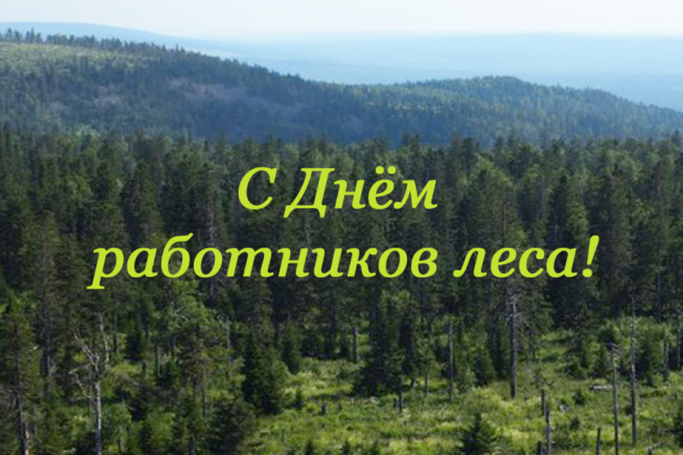 Уважаемые труженики и ветераны лесной отрасли!. Уважаемые труженики и ветераны лесной отрасли!.